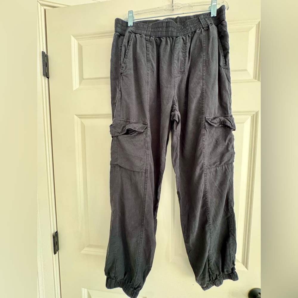Sanctuary Dark Gray/Black Pants from Evereve M